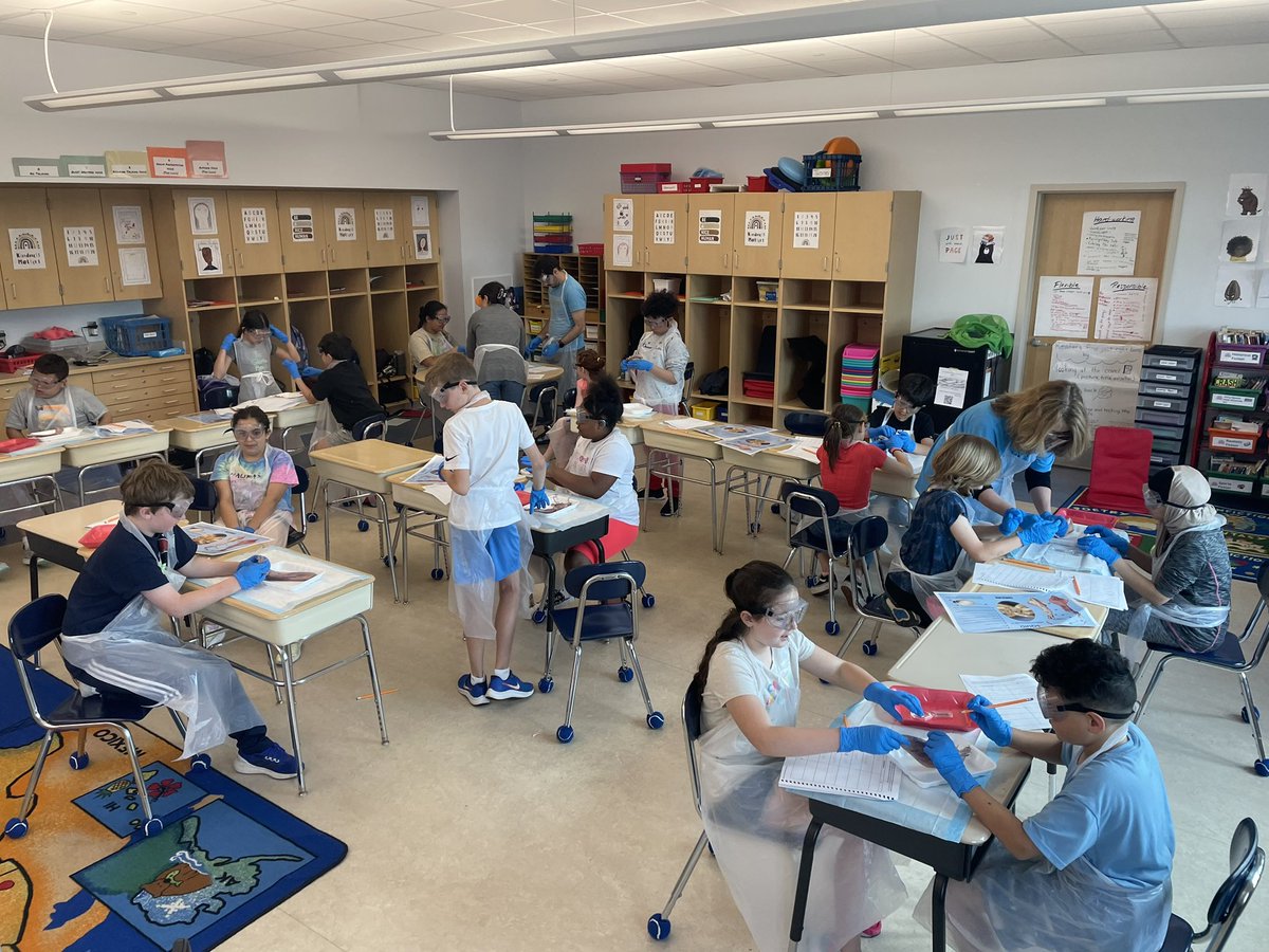 Our 4th-graders had a great day dissecting and learning about squids today! Way to go Squid Squad!! (Special thanks to Ms. Powers for making the awesome tshirts!!)