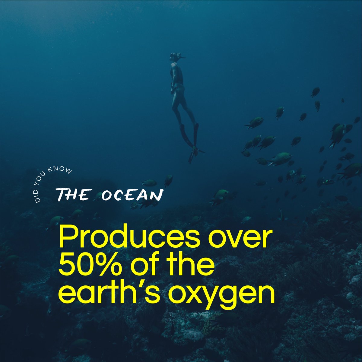 Proteus Ocean Group (@proteusoceangrp) on Twitter photo 