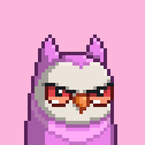 Nude Birds are the best!

HOOT