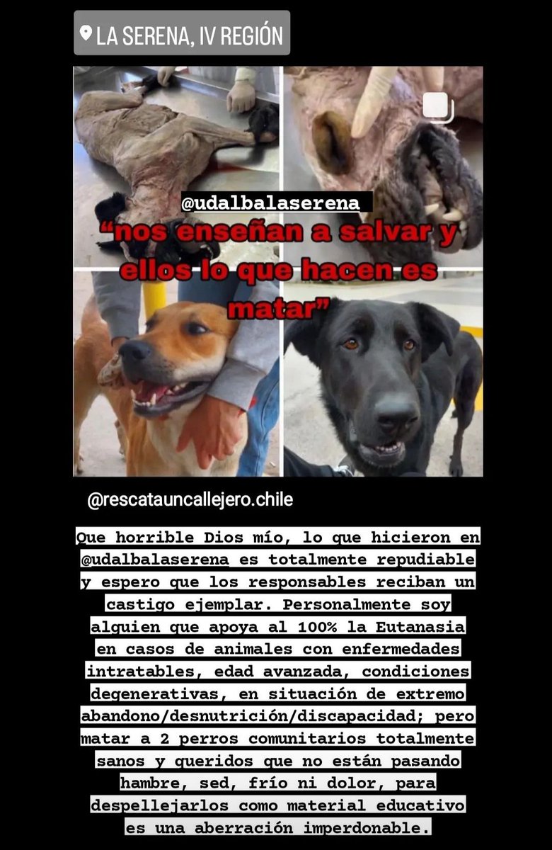 DarkxLover's tweet photo. @PDI_CHILE @GobiernodeChile @voceriagobierno  @GabrielBoric @T13 @chilevision @meganoticiascl @TVN @Mega @radiocarab  @futurofm  @colmevetchile  @UdalbaLaserena #noticia #viral #rt #alerta #chile #laserena #bidema https://t.co/6rDSf5XVbf