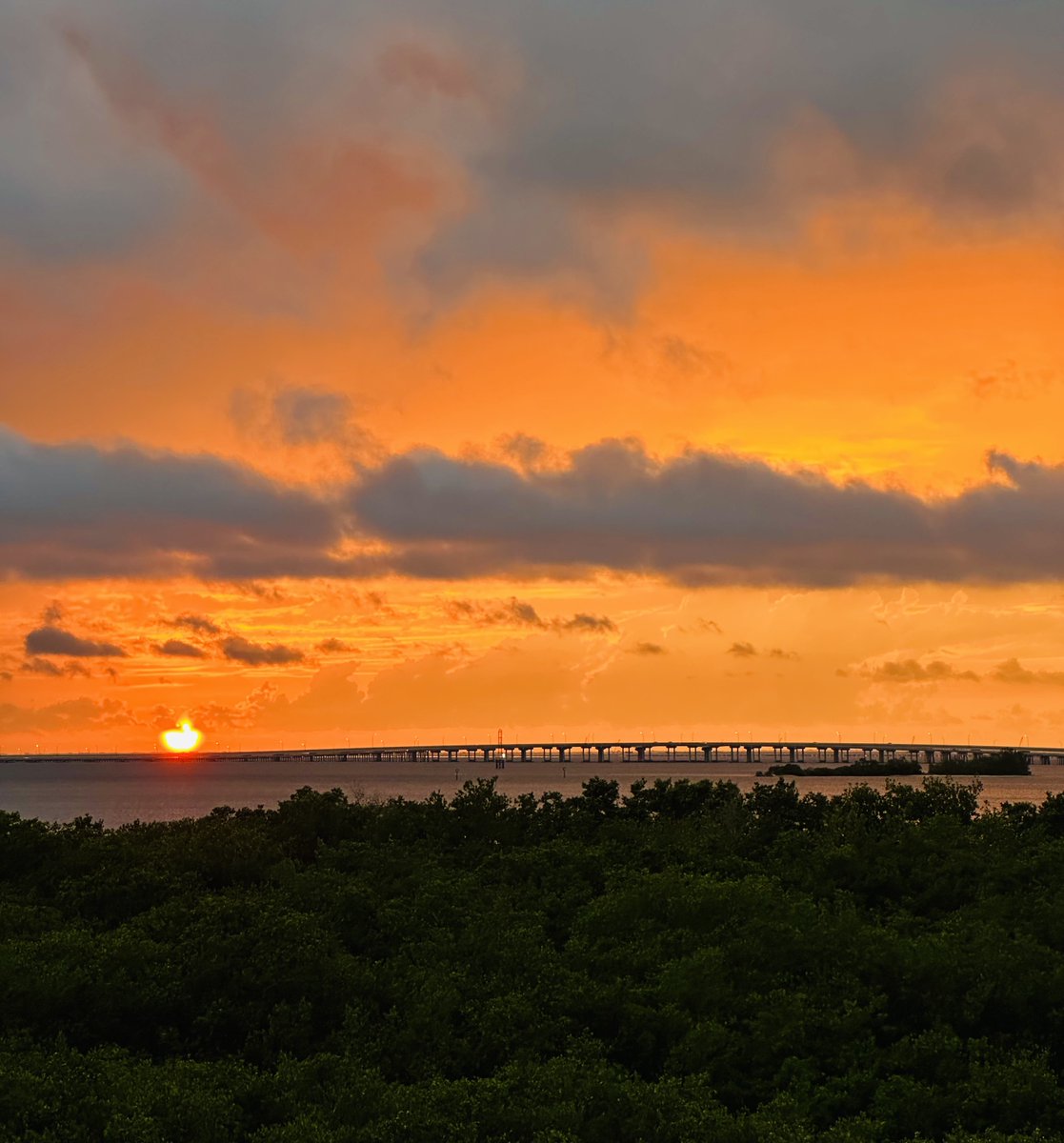 Study in orange #baylife #gulfviews #abileads #loveyourlife #luckygirl #changeyourlife #celebratechange #celebrate #crazyconfident #tampaphotography #tampalife #tampagirl #tampabay #tampabae #tampa #visittampabay #sunset #goodvibes #gratitude #beinspired #LifeAfterLeapingIn