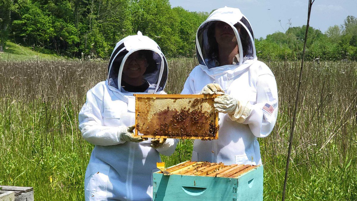 Chris Robinson (@shy_symbiont) on Twitter photo me and the undergrad taking the annual ominous beekeeping photo!!!
thx <a href="/buttmuppet/">aᶠyͤaͤˡᵉʳᵐᵃᵖ</a> for documenting the scientific process as always! me and the undergrad taking the annual ominous beekeeping photo!!!
thx <a href="/buttmuppet/">aᶠyͤaͤˡᵉʳᵐᵃᵖ</a> for documenting the scientific process as always!