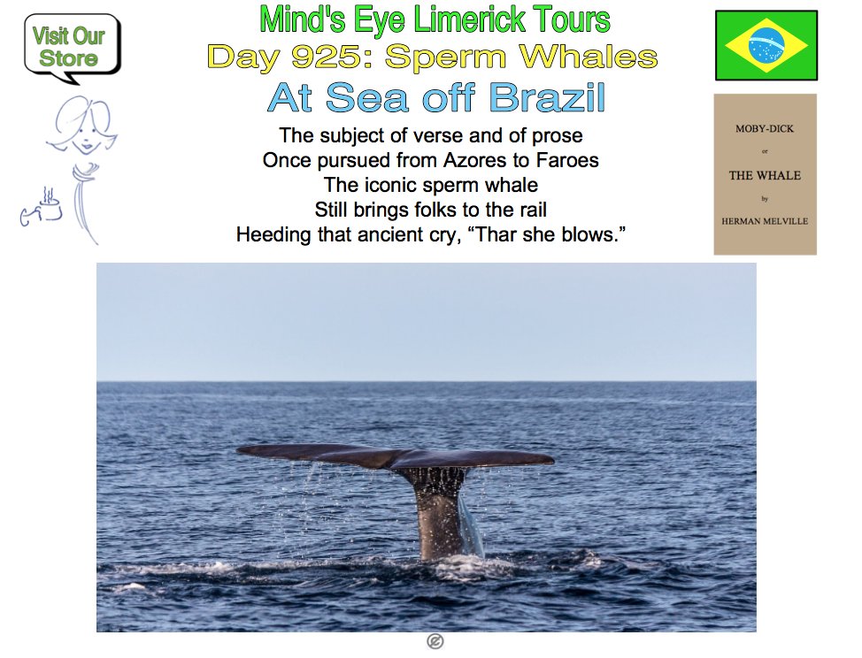 #Limerick #entertainment #humor #store #AtSea #Brazil #TharSheBlows #SpermWhale #MobyDick mindseyelimericktours.com/?p=4668 zazzle.com/store/mindseye…