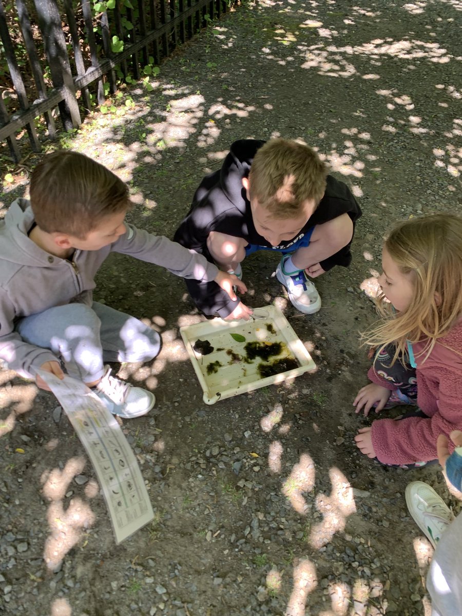 Jayne Ramirez tweet media