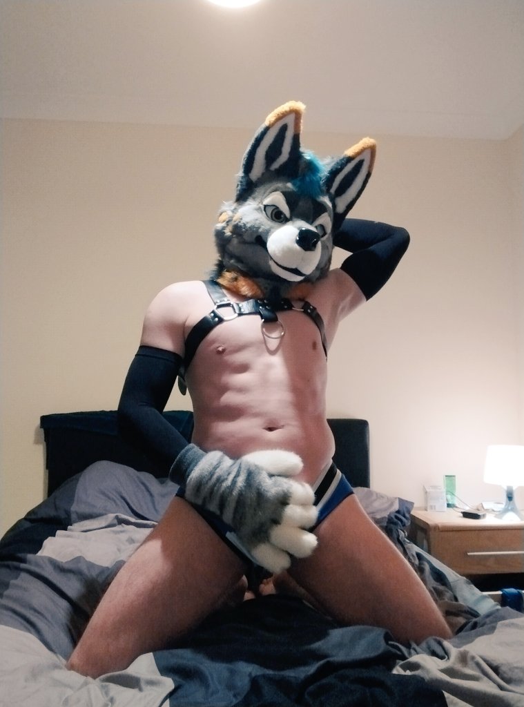 Velkas but gayer tweet media