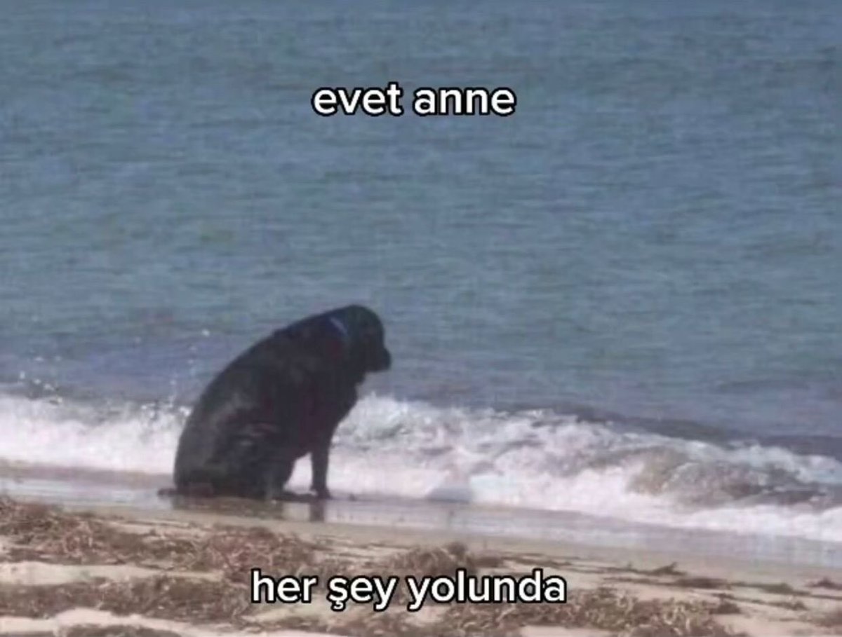 Emre Can (@sarikula06) on Twitter photo 