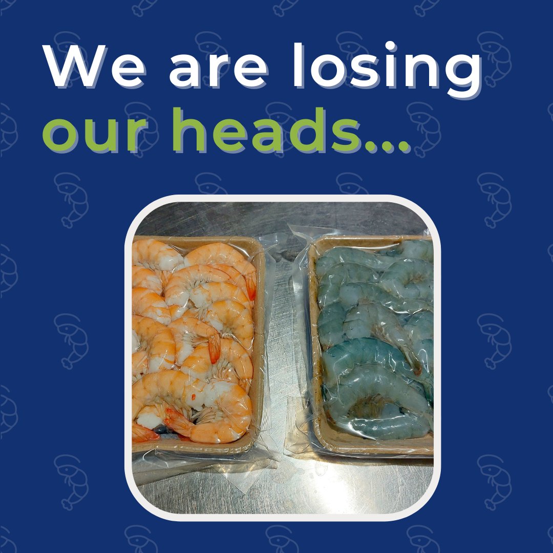 NaturalShrimp tweet media