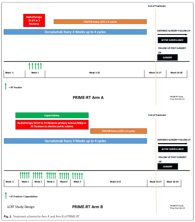 A 8-3
PRIME-RT is an ongoing p2 RCT comparing:
SC-RT + Durva → FOLFOX-Durva
vs.
LC-CRT + Durva → FOLFOX-Durva

❓Can the addition of ICI ⬆️ organ preservation rates by ⬆️clinical complete response
❓Can ICI-RT prime the systemic anti-tumor immune response
#CRCTrialsChat #CRCSM