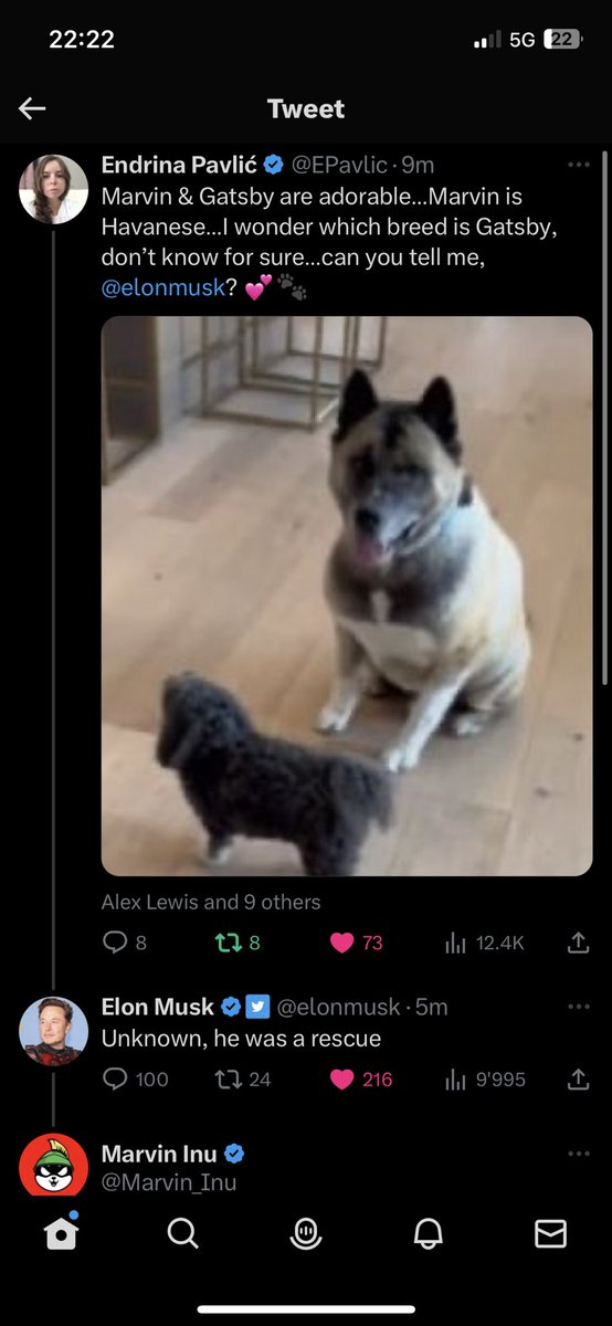 Elon just replied to Endrina showcasing Marvin 👀

Marvinauts are the best in the west 🚀
We will make history next bullrun 

DOGE SHIB MARVIN 🐳💵🐳💵🐳💵