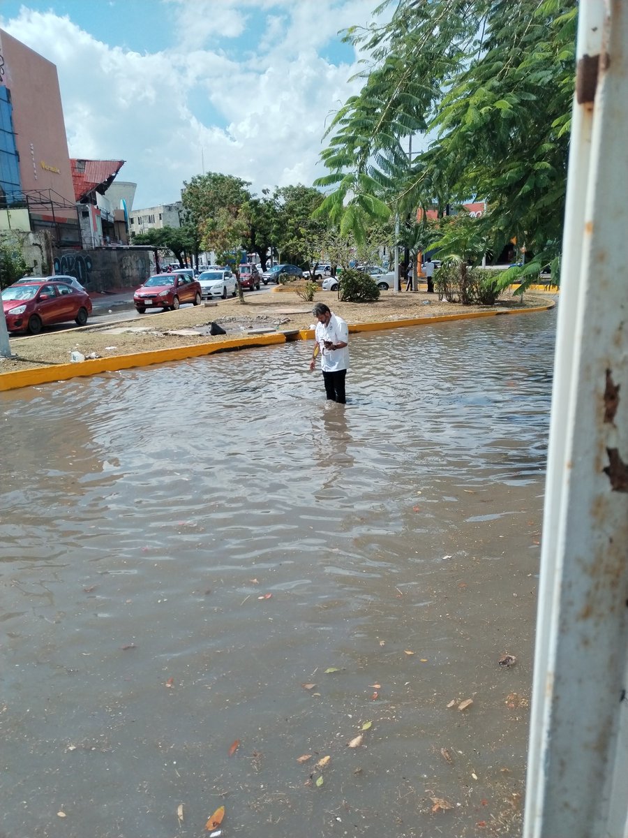 Mnaranjo's tweet photo. Agradecemos al servidor público que sin importar, se arremango y se puso a quitar la basura @AytoCancun https://t.co/mW6DalFrd2