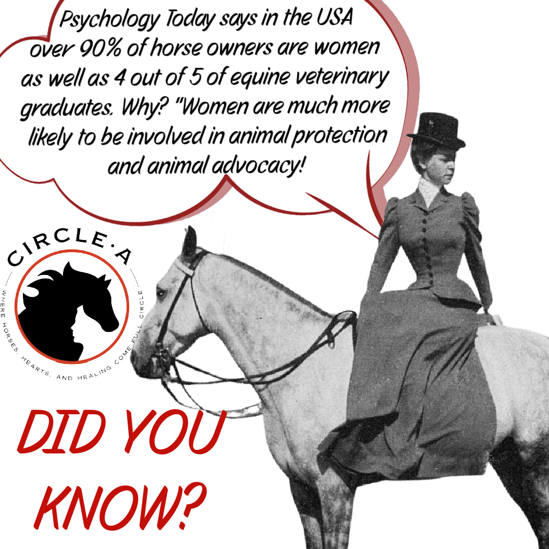 circle_horses's tweet photo. Welcome to Fun Fact Friday! Horse Women rock! 📷📷📷📷📷📷
Read the full article here: https://t.co/78fKSqs4t6...
#circleahomeforhorses #horsewomanship #equinerescue #equinetherapy https://t.co/YHZpXjm0ed