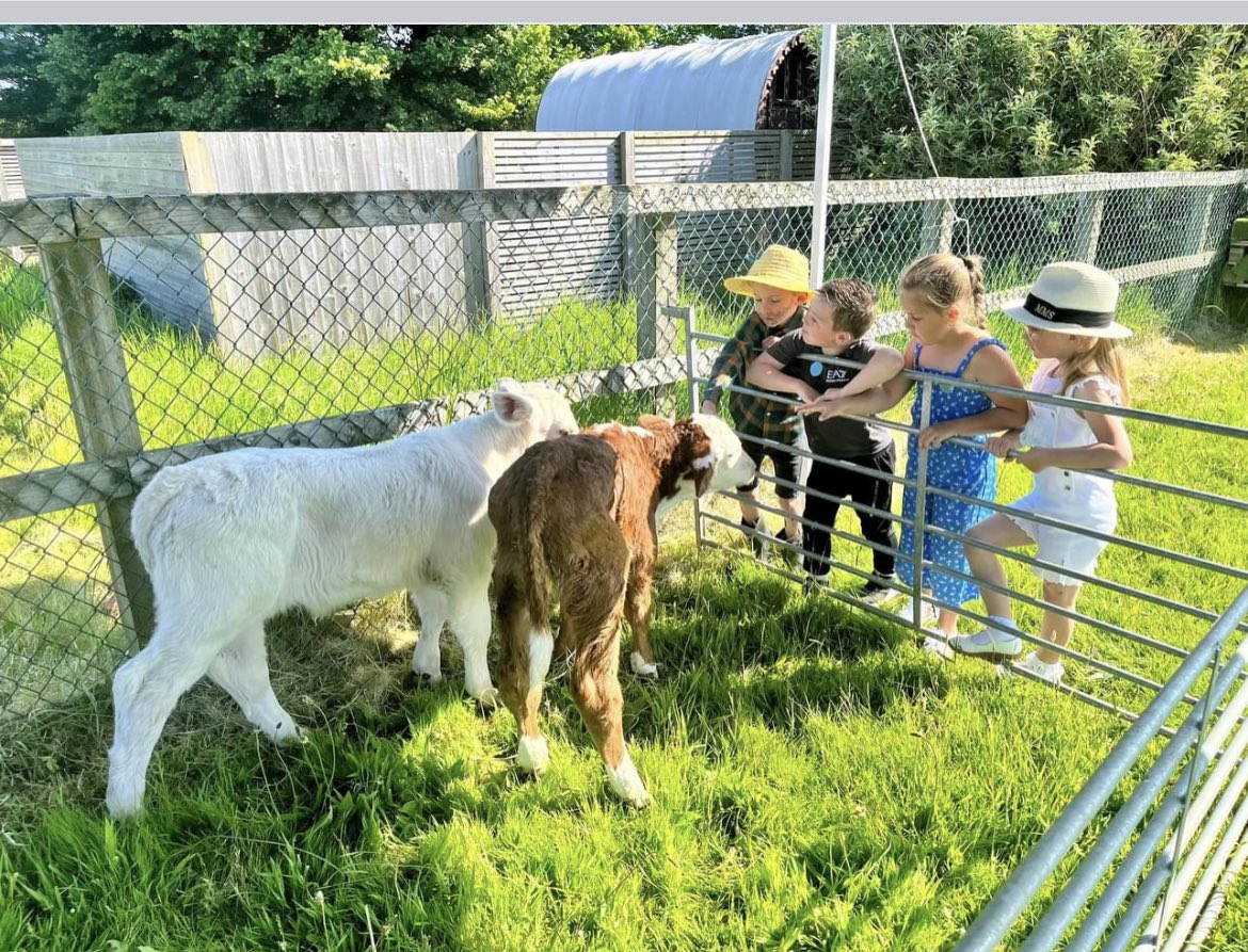 Monktonpriory's tweet photo. What an Amazing day. Year 1 shared their learning experiences with parents in assembly, then opened their farm for the day at school to all of the learners, giving talks to educate and inform.
@SchoolsPembs
@WG_Education
#authenticlearningexperiences
#outdoorlearning https://t.co/2bhoUxozCz