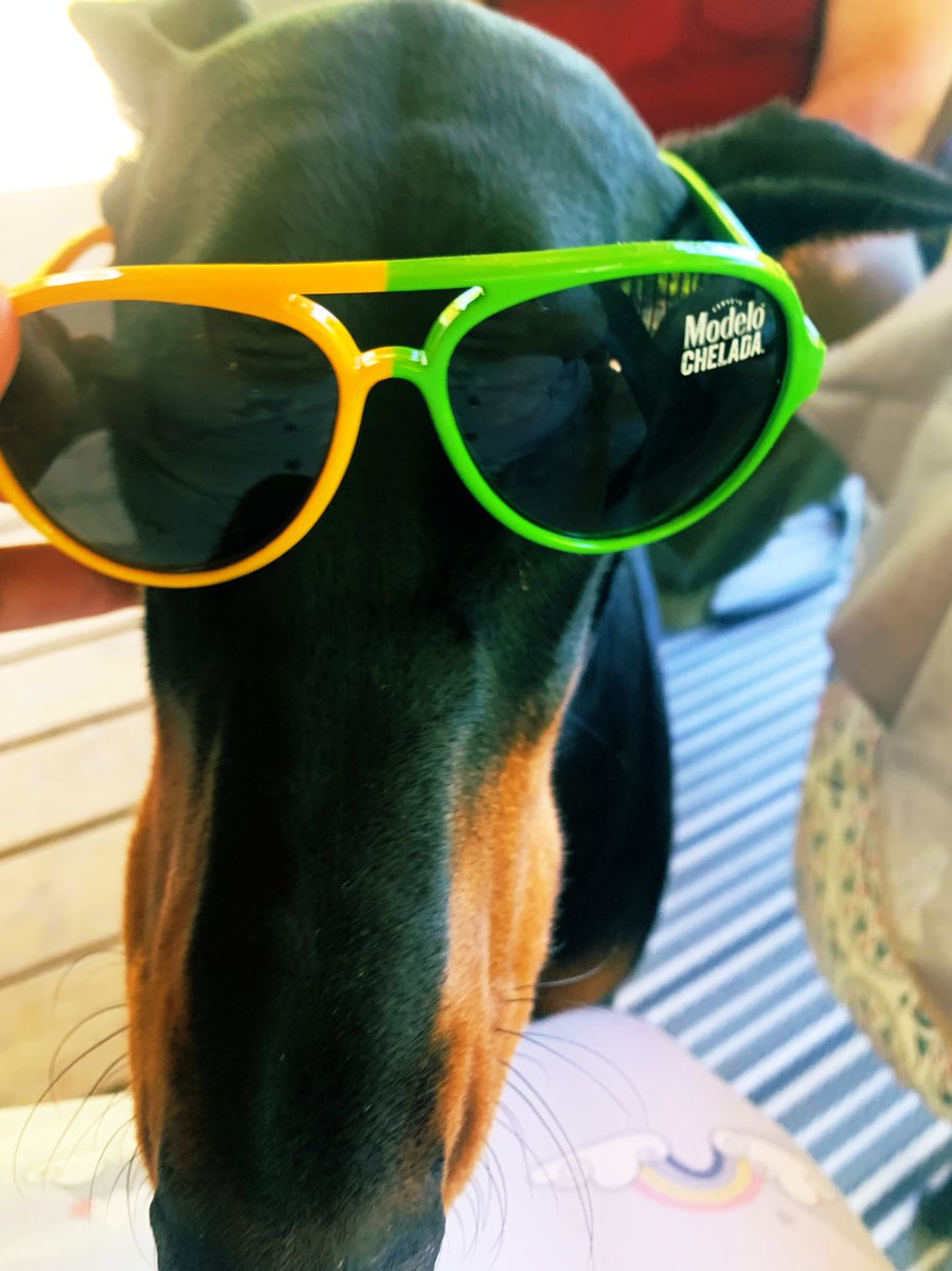 Manda91222's tweet image. The day after cinco de Mayo party! #Hartzinsiders #Hartz