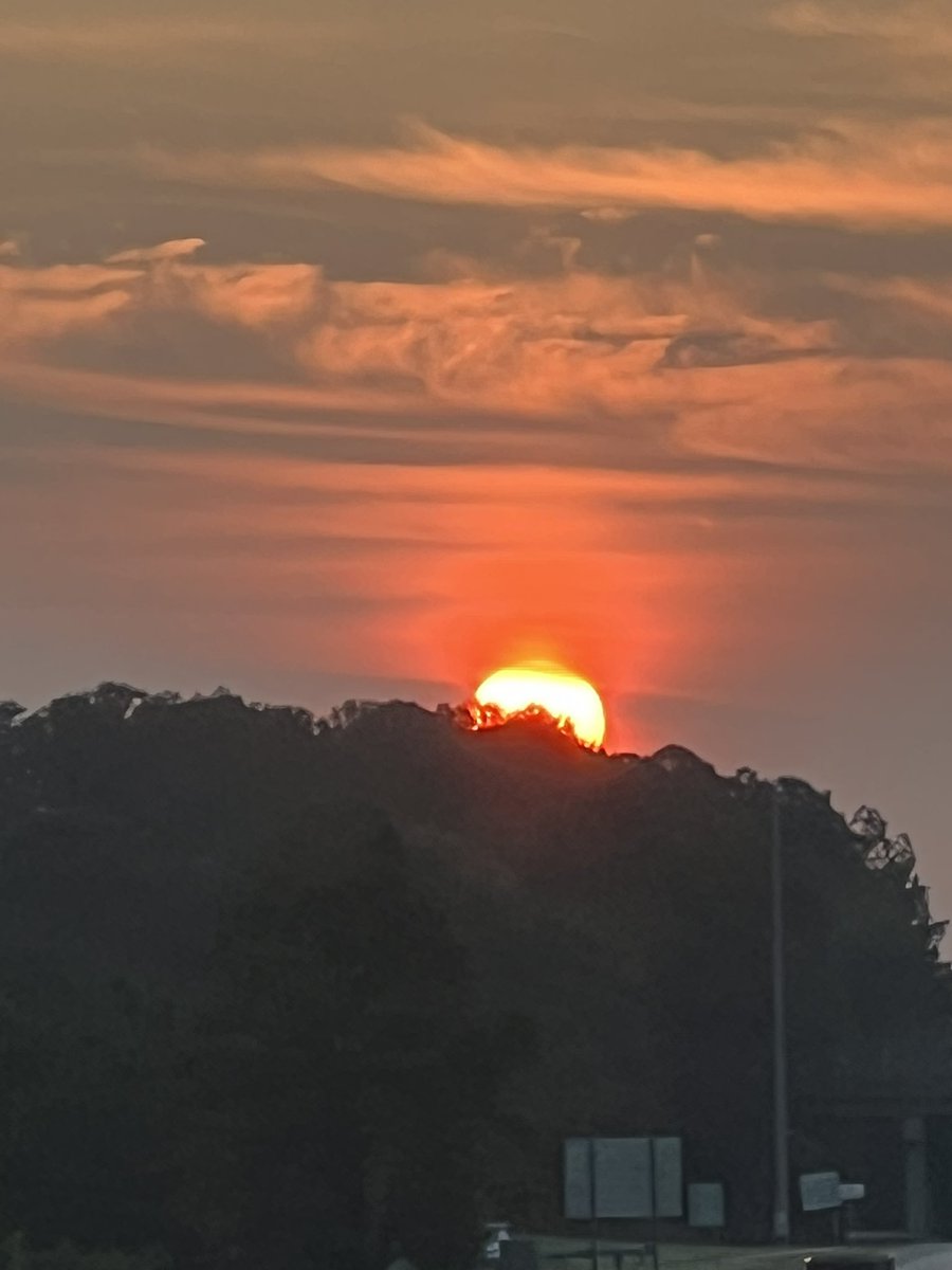 Jessica Brooks tweet media