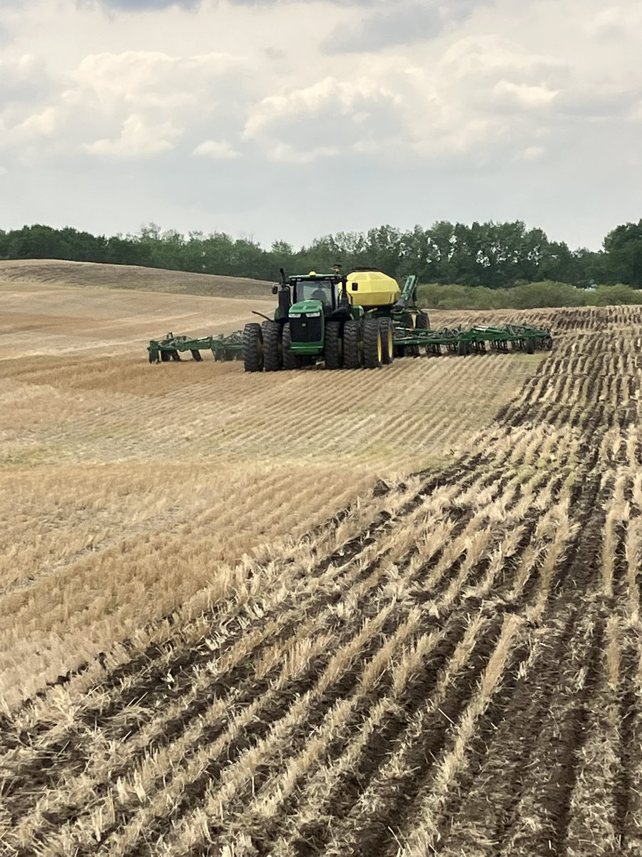 Kurtis Wandler tweet media