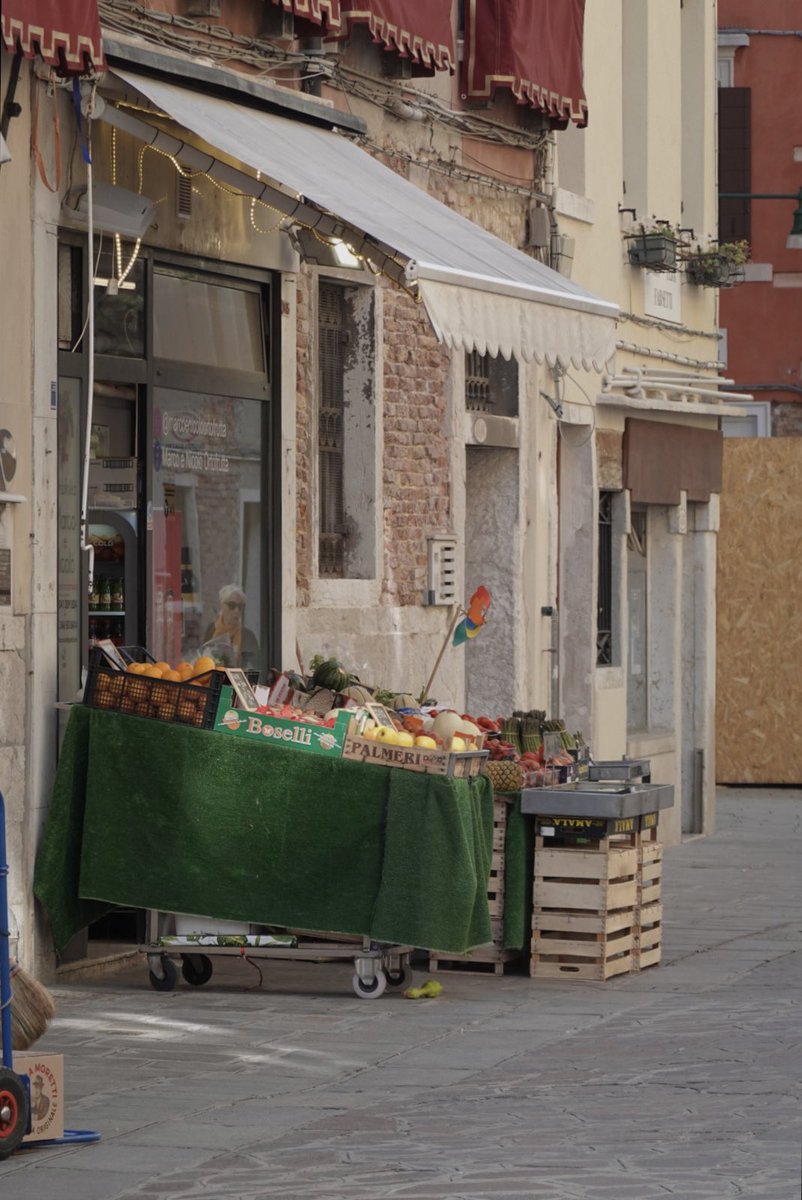 cxixnxdxyx's tweet image. 베네치아 와서 모기 6마리 잡음