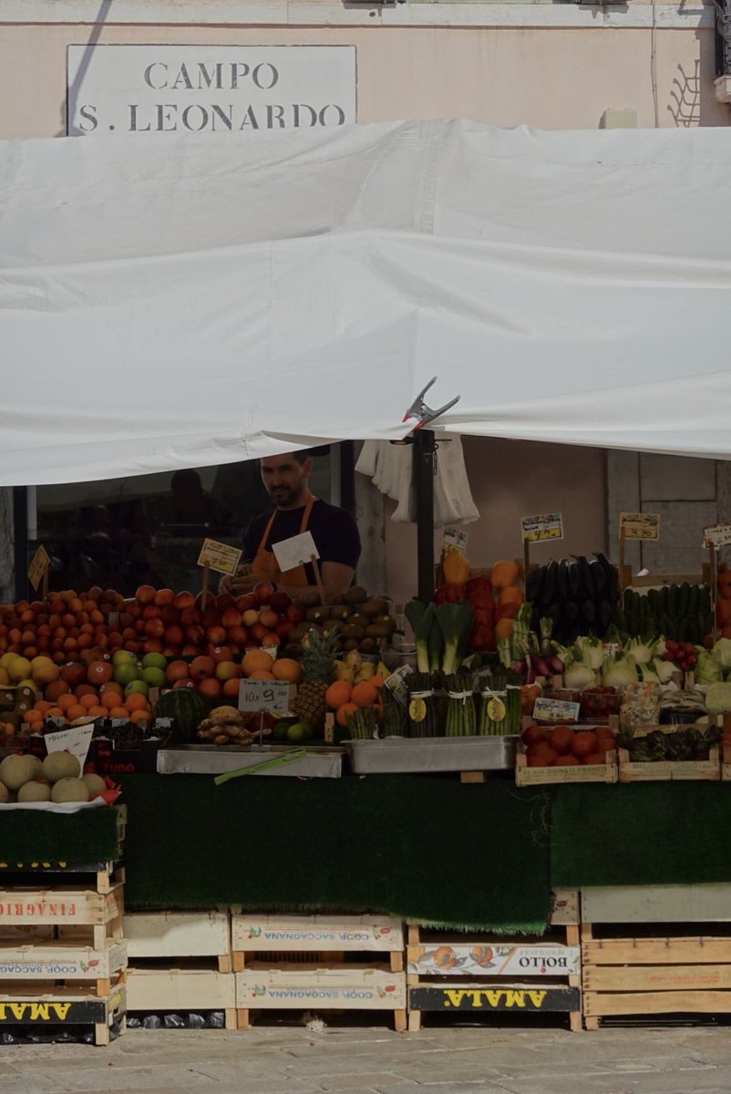 cxixnxdxyx's tweet image. 베네치아 와서 모기 6마리 잡음