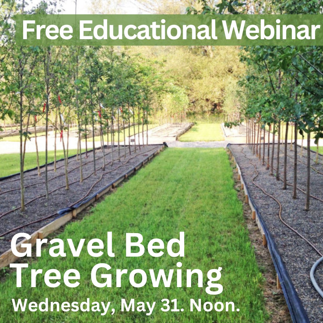 Trees_Forever's tweet photo. Join Trees Forever and guest presenter Gary Johnson from the University of Minnesota to learn about gravel bed tree growing techniques and how the process is being used to develop high-quality root systems and low-cost trees. May 31 at Noon. Register at: https://t.co/1IoTlLvLwh https://t.co/LGoYcVrH3D