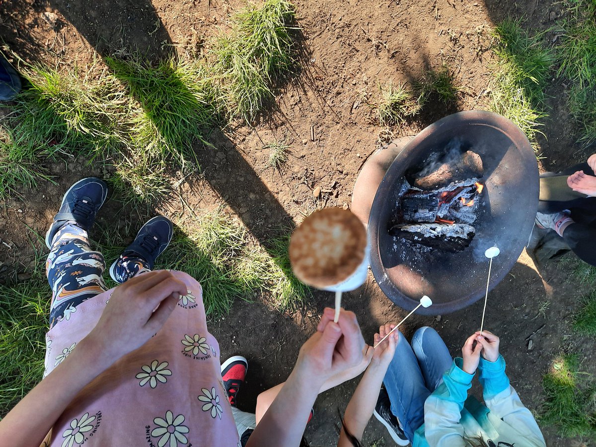 Freeman's Endowed - Year 4 tweet media