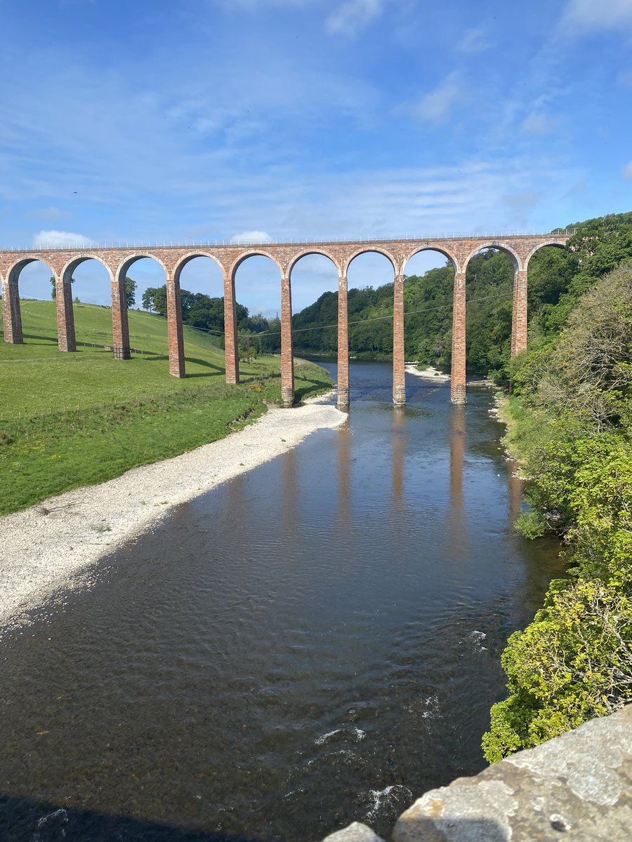 Miss Ratter tweet media