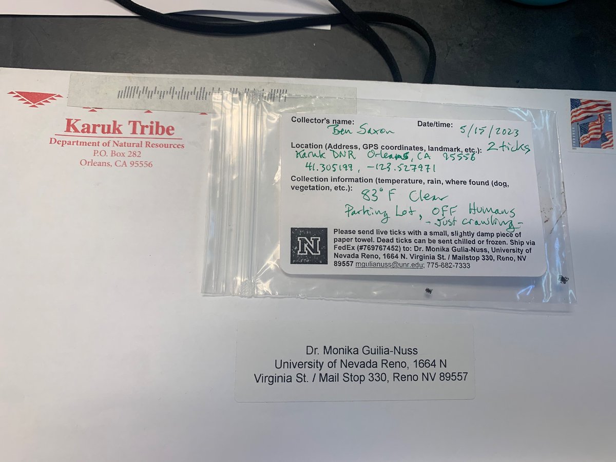 Receiving tick samples always makes me so happy 😀! Doing our little bit to help with the land grant mission. <a href="/unrcabnr/">UNR College of Ag, Biotech & Natural Resources</a>