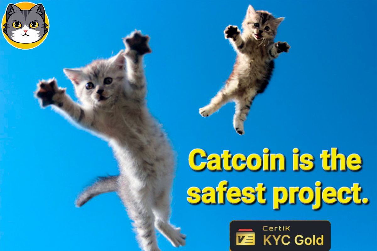 @JakeGagain I’m Bullish on #Catcoin $CATS

Catcoin.io