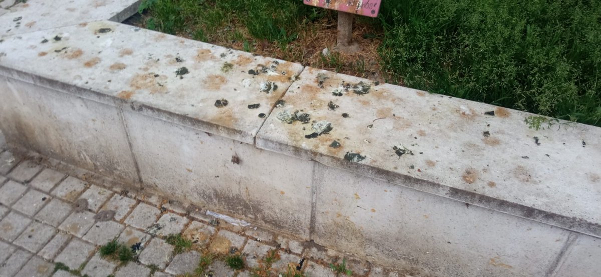 jesusjuliova23's tweet photo. 👉 Valladolid está SUCIA
👉 Cuando lleguemos a la alcaldía vamos a mejorar la limpieza de las calles, parques y jardines.
Valladolid debe volver a ser la ciudad limpia que era cuando gobernaba el @ppopular
No queremos postureo medioambiental, eliminemos las plagas de la ciudad. https://t.co/rWDHQAiSz0