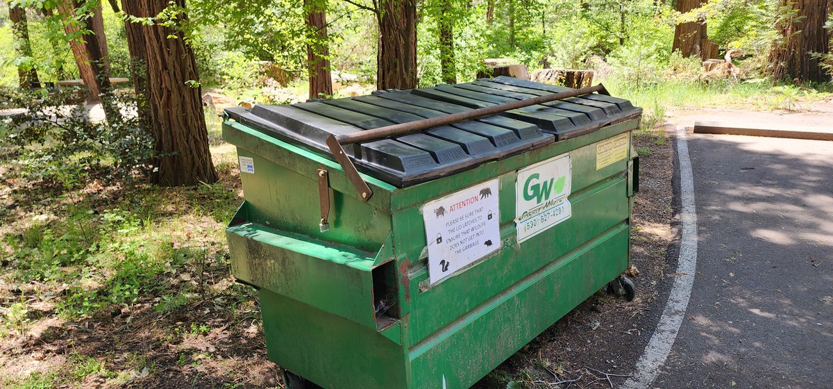 Be #BearAware! Hanging out in the woods this week? So are we🦝🦨🐇🐻🦅Remember: keep your trash & food secured away from your site at night. Use the trash facilities when available, & secure the lid! If facilities aren't avail. #packitinpackitout

Stay safe & #RecreateResponsibly