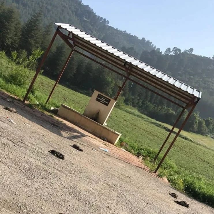 Nihal_K34's tweet photo. .@Burdurvalilik Sn Vali @vAliArslantas 
daha önce de bir KEDİNİN kafasının gövdesinden ayrıldığı BUCAK' da yine KATLİAM VAR!
Bu gözü açılmamış yavruları insanlığa, müslümanlığa, yasaya aykırı katleden cani/ler bulunsun.
@BucakKaymakaml  @TC_icisleri @Bayramburdur @BurdurEmniyet https://t.co/z0DzNuP5Oi