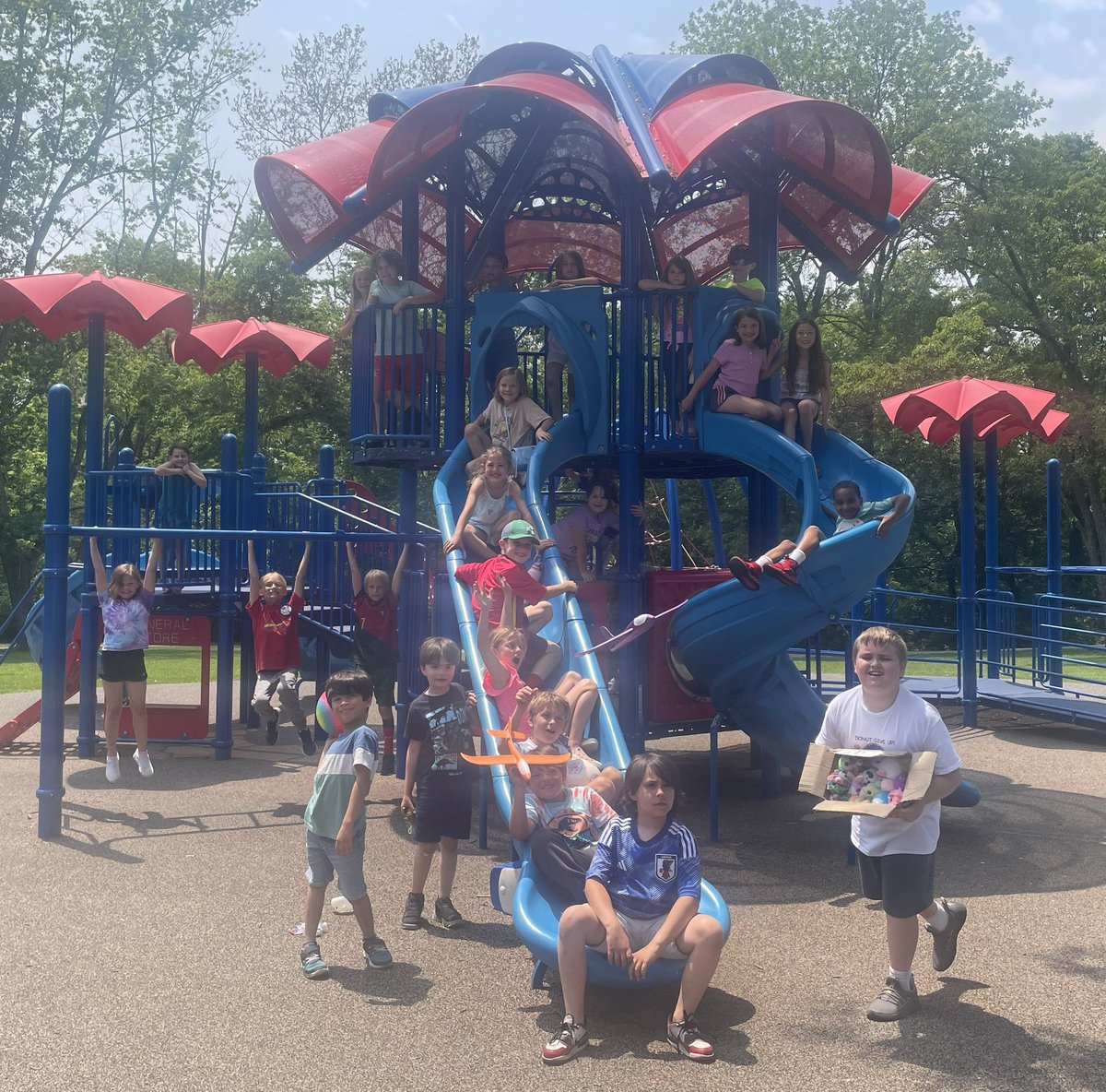 Denise Foley tweet media