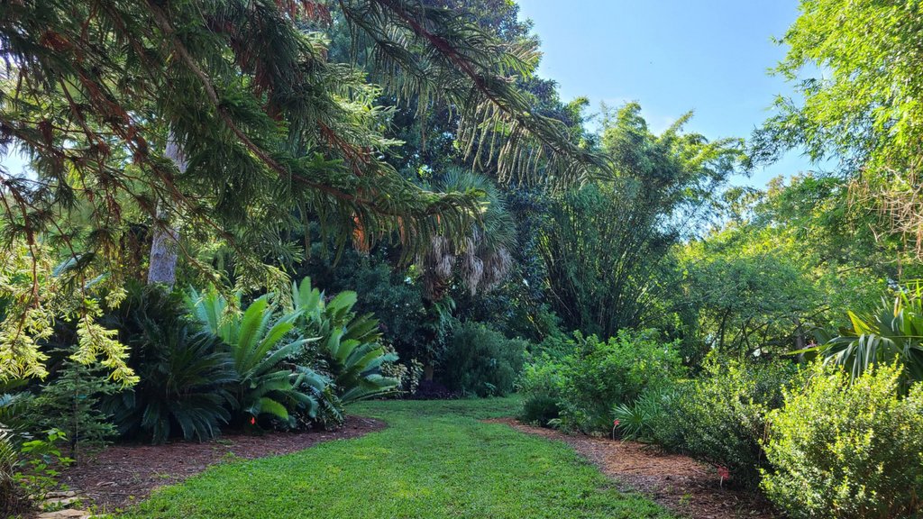 Dreamy USF Botanical Gardens (@GardensUsf) to host Plant Festival this summer 🌿

Get the details >> l8r.it/yNBc