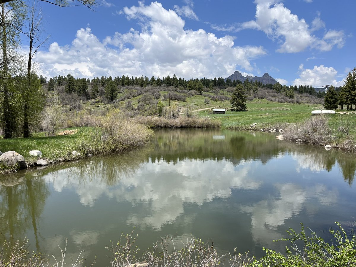 @nakita1971 @CalltoActivism @joncoopertweets Yes it’s gorgeous here- my home- Sohum Mountain Ranch