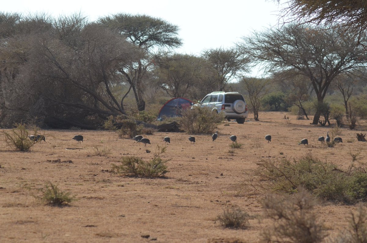 As I have been travelling throughout our beautiful country, camping in the middle of nowhere, has been the most memorable nights in my life. 

Quruxdii dalkayaga l #camping l #traveltips l #landscapephotography l #Africa l #Somaliland l #AfricanDay