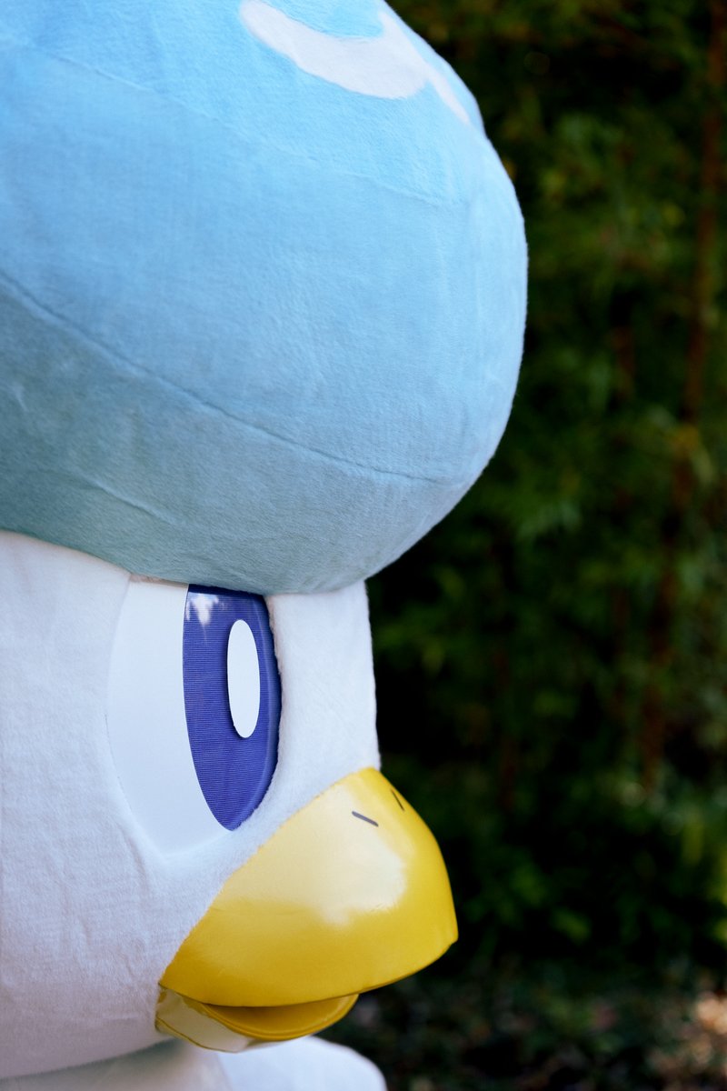 ピカチュウと車好きさん on Twitter "RT Pokemon Quack if you love this coif 🌊"