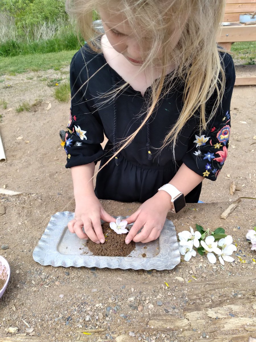 PPMissJenn's tweet photo. The grade 2 reading buddies and prep's were making great use of the sand and water outside today.  There was some amazing cooperation and engineering going on with the pipes,  and amazing culinary creations happening.
#outdoorlearning
#nspreprimary
@champlain_elem https://t.co/RoHOHGN5bG