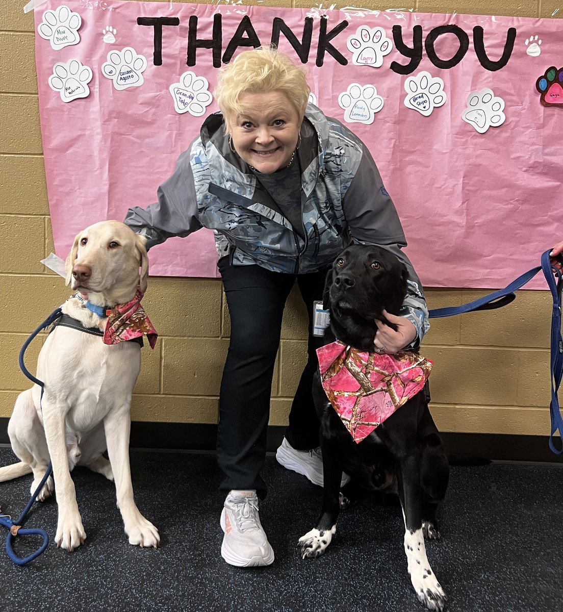 Bear@LHS tweet media