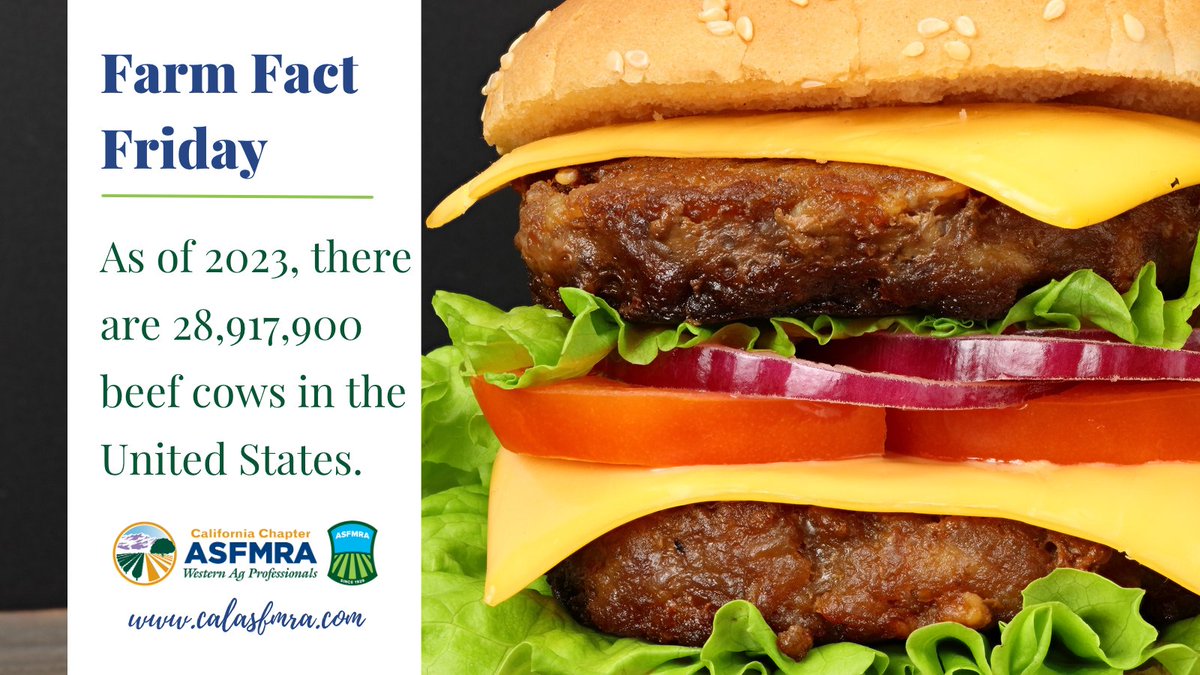 Sunday is #NationalHamburgerDay! Did you know about 50 billion burgers a year are consumed in America! (wndu.com)

#farmfact (worldpopulationreview.com)

#calasfmra #asfmra #farmfactfriday #funfact #beeffact #hamburger #cheeseburger #MemorialDay #memorialdaybbq