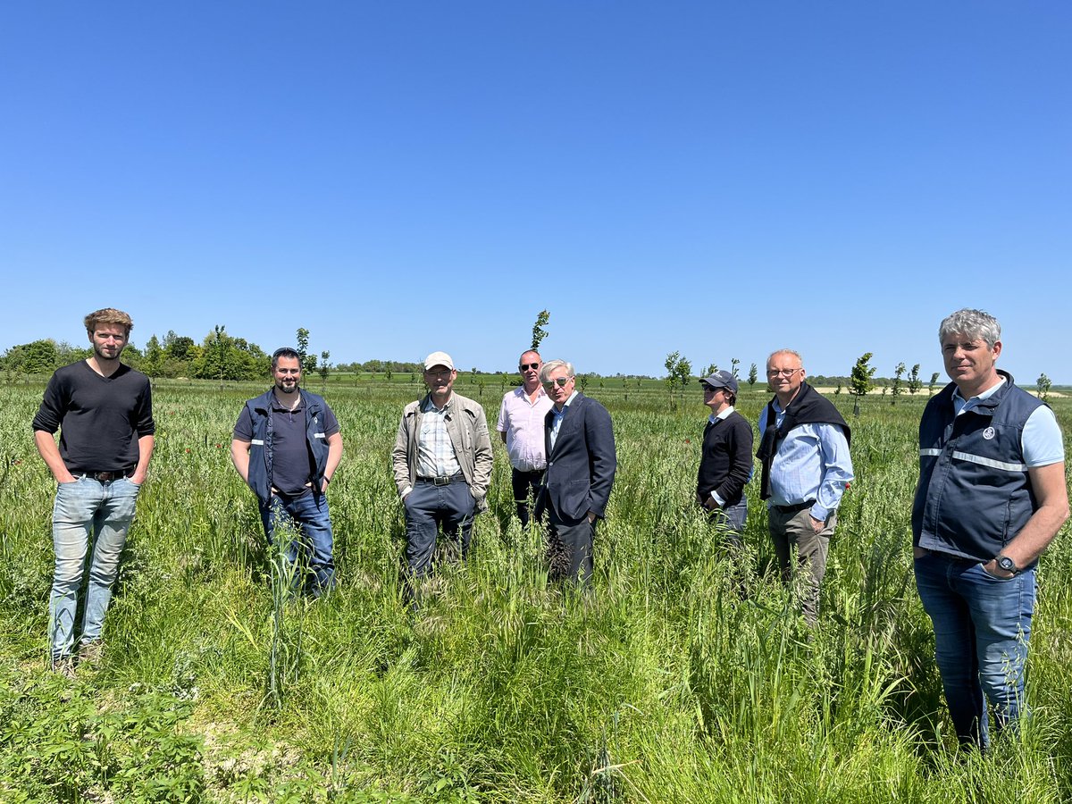 LouisRoederer_'s tweet photo. Great afternoon with #TeamRoederer vineyards management discussing all aspects of biodiversity! We ARE definitely on the right journey! #Organic #Biodynamic #Permaculture #Massalselection #conservationagriculture #conservationtillage  #regenerativeagriculture #agroforestry -JBL https://t.co/kiFIopK8vL