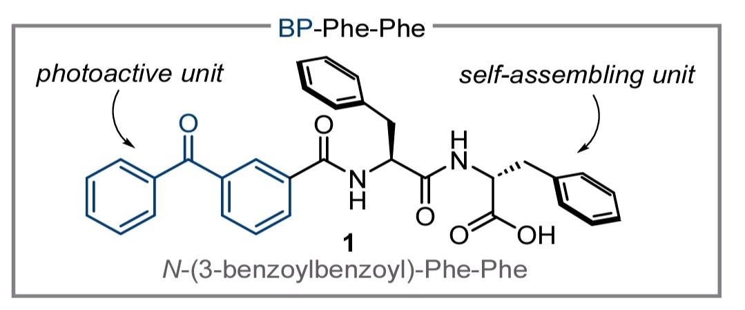 DellAmico_group's tweet photo. A new self-assembly photosensitizer is now unleashed! Congrats @Er_Goti and Lorenzo Rizzo for your efforts in this light promoted E/Z isomerization! Take a look at this fantastic collaboration with @MarchesanLab https://t.co/SgtdBS9E43 https://t.co/hCMgALoYG0