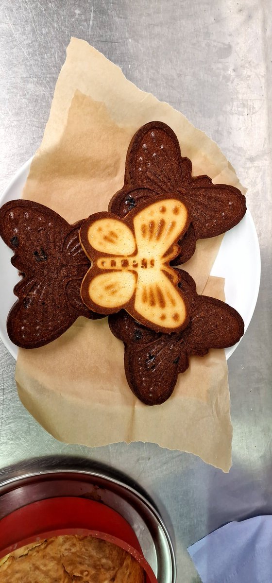 Butterfly cakes in honour of our logo #coffeemorning at @WorcsWhitehouse