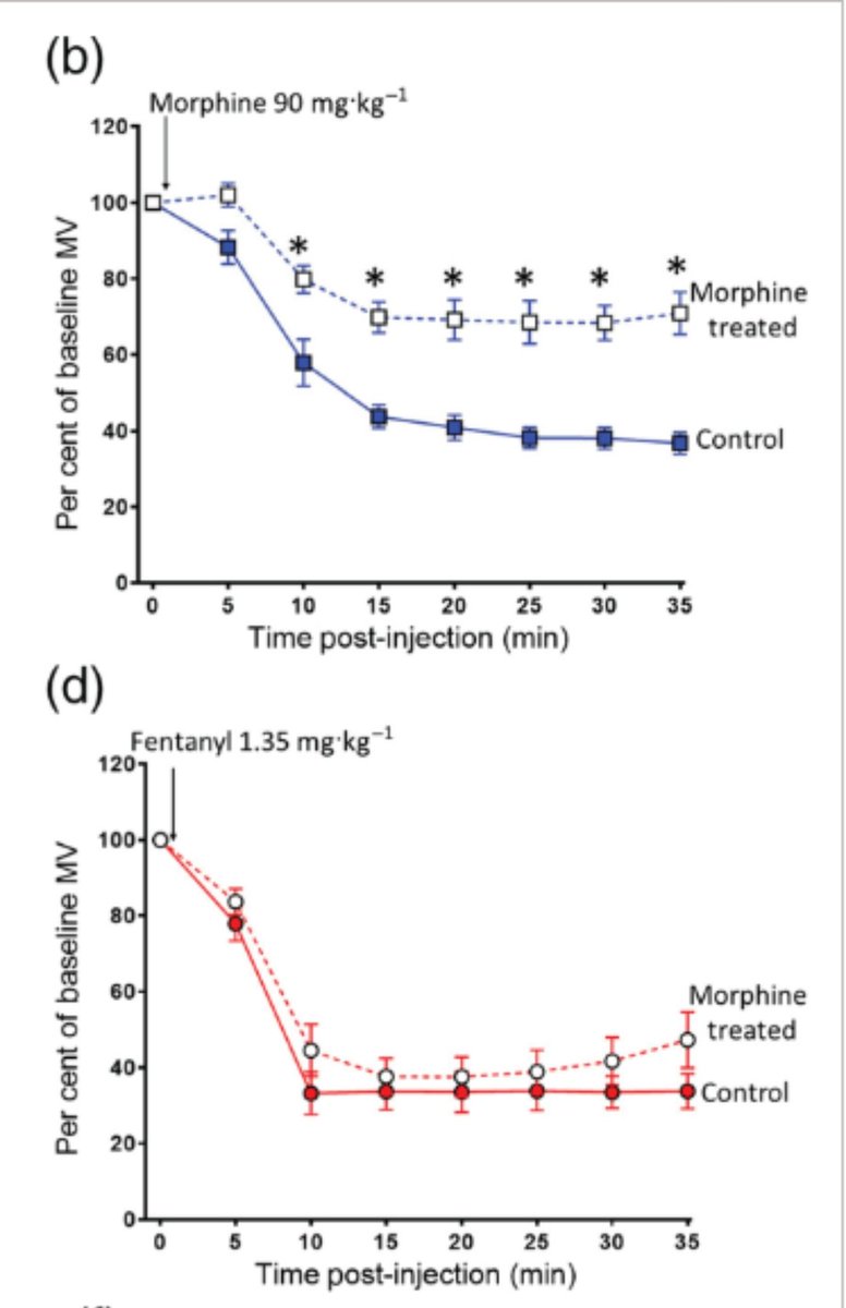 Was George Floyd a fentanyl addict? There's no evidence he was.

George Floyd was a user of classical opioids. He got poisoned, like so many Americans, by 'oxycodone 30mg' pills that were actually fentanyl.

What we do know:
He had trace Morphine in his blood, indicating use ~5…