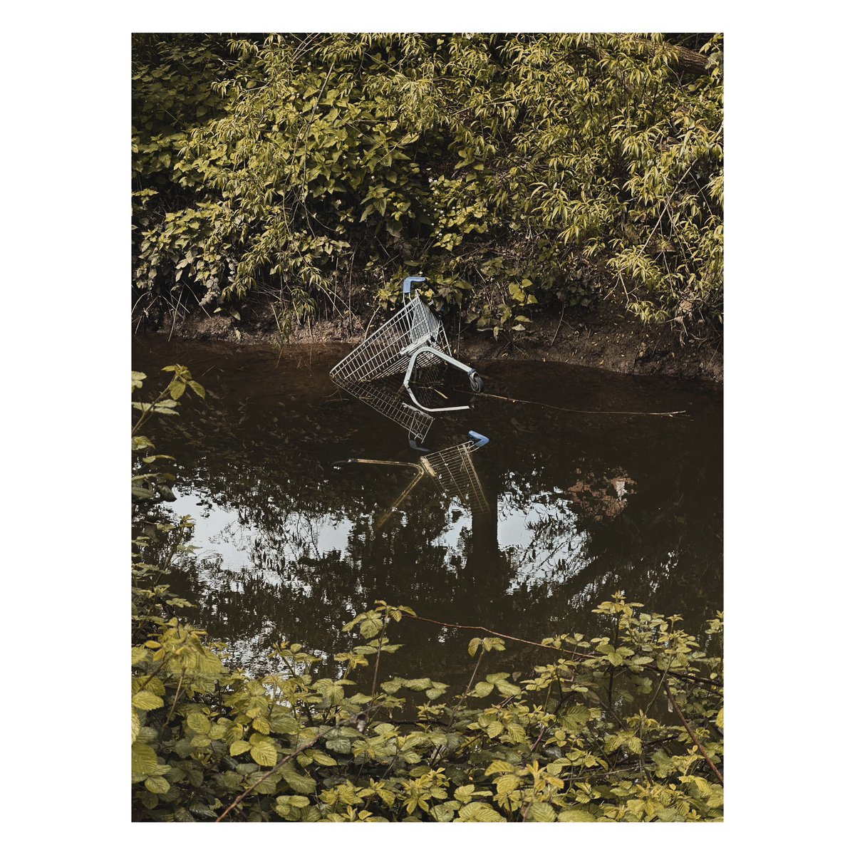 I always think what’s the context behind an abandoned shopping trolley #shoppingtrolley