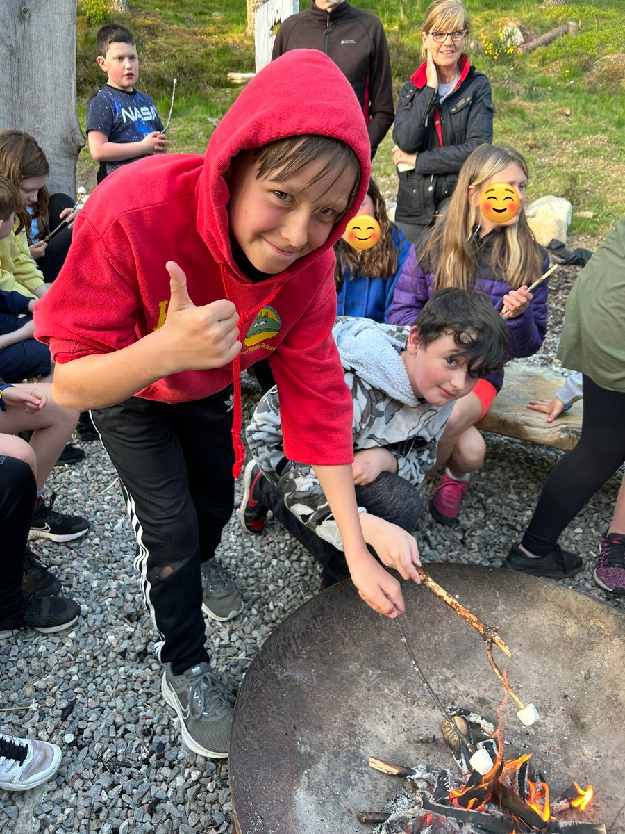 Pitlessie PS tweet media