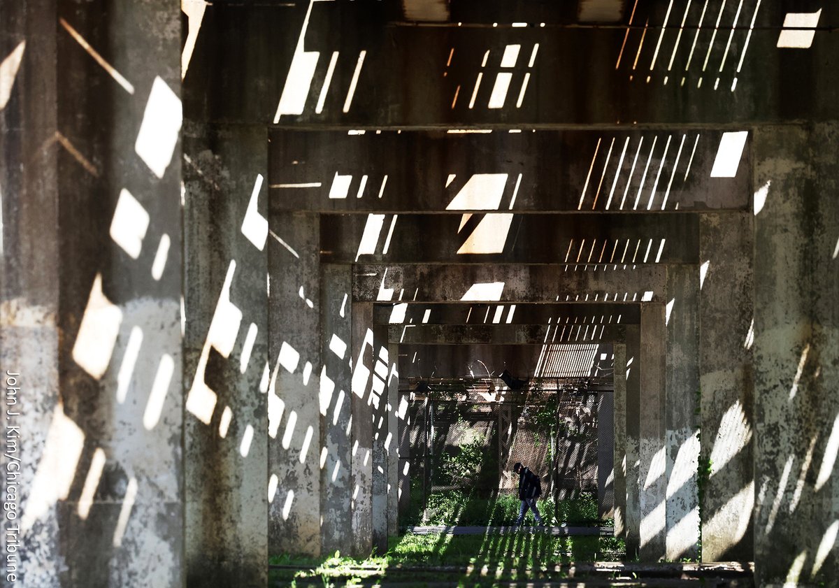 the walk

6300 block of South Loomis Boulevard

🚶‍♂️