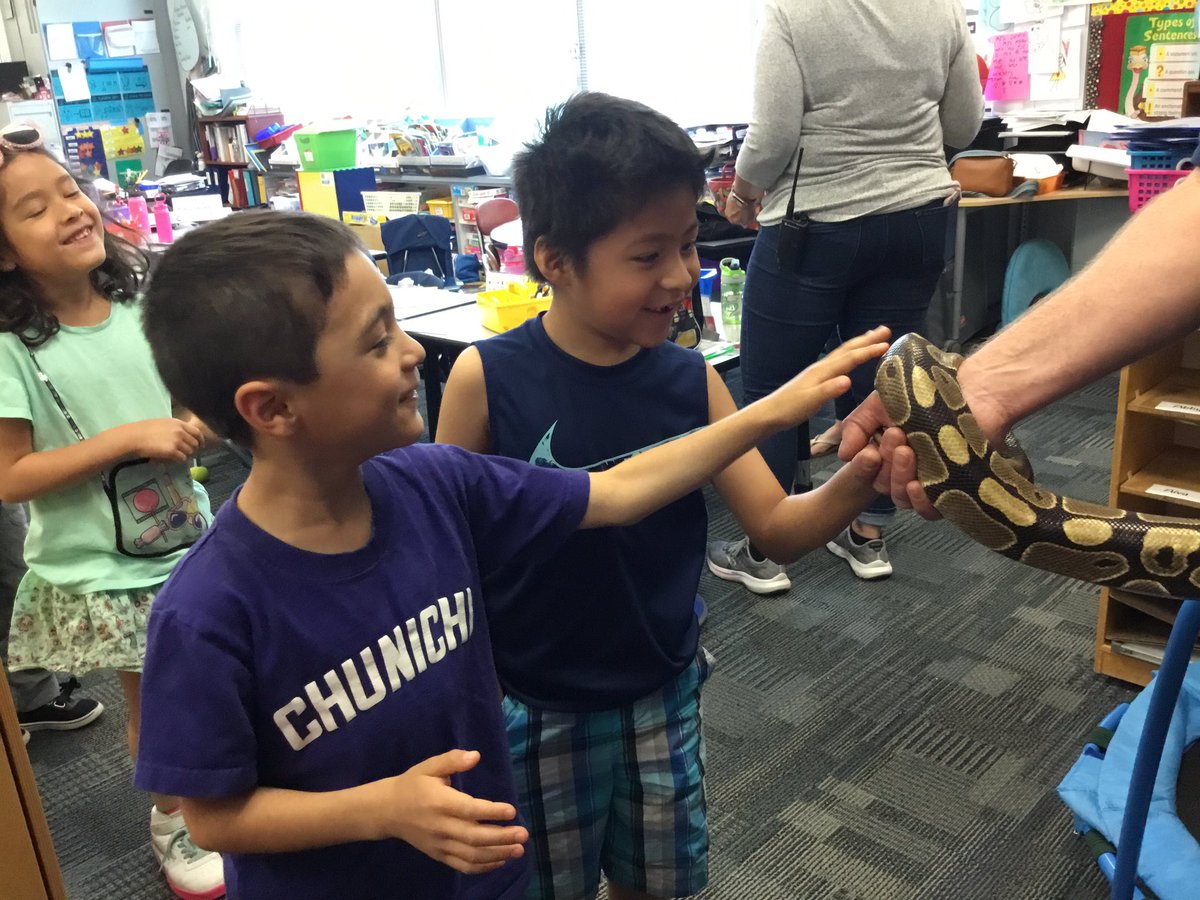 MrsDeAngelisRH's tweet photo. Kindergarteners loved the Eyes of the Wild presentation today! Thank you, RH PTO for making programs like this possible🙂 @RobertHunterES @FlemRarSchools https://t.co/1kAzftmQPT