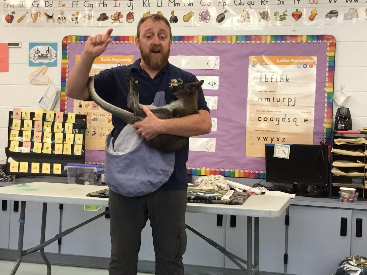 MrsDeAngelisRH's tweet photo. Kindergarteners loved the Eyes of the Wild presentation today! Thank you, RH PTO for making programs like this possible🙂 @RobertHunterES @FlemRarSchools https://t.co/1kAzftmQPT