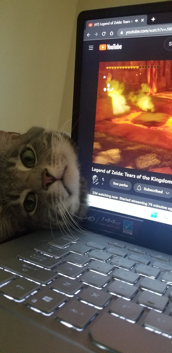 MelRocks tweet media