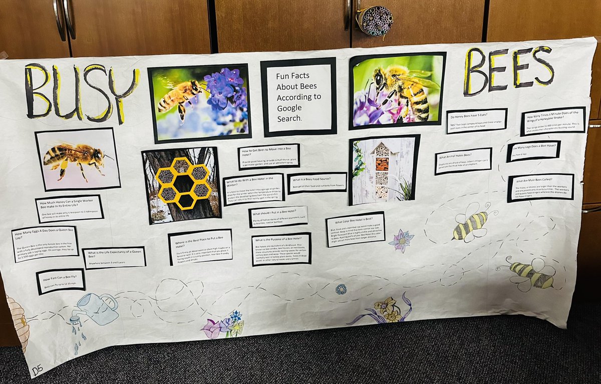 Haylee_Hobson13's tweet photo. Lunch for my 4th and 5th grade first place winners from our #PBL pollination research project! #Angletonisd #wildcats #CelebratingCentral https://t.co/0yM1699JOa