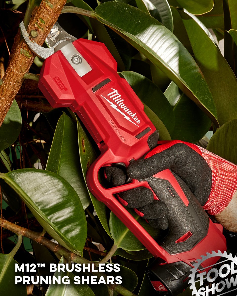 Tool Show tweet media