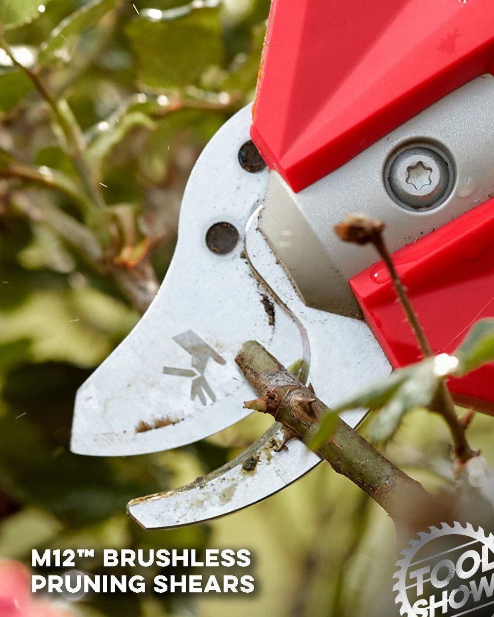 Tool Show tweet media